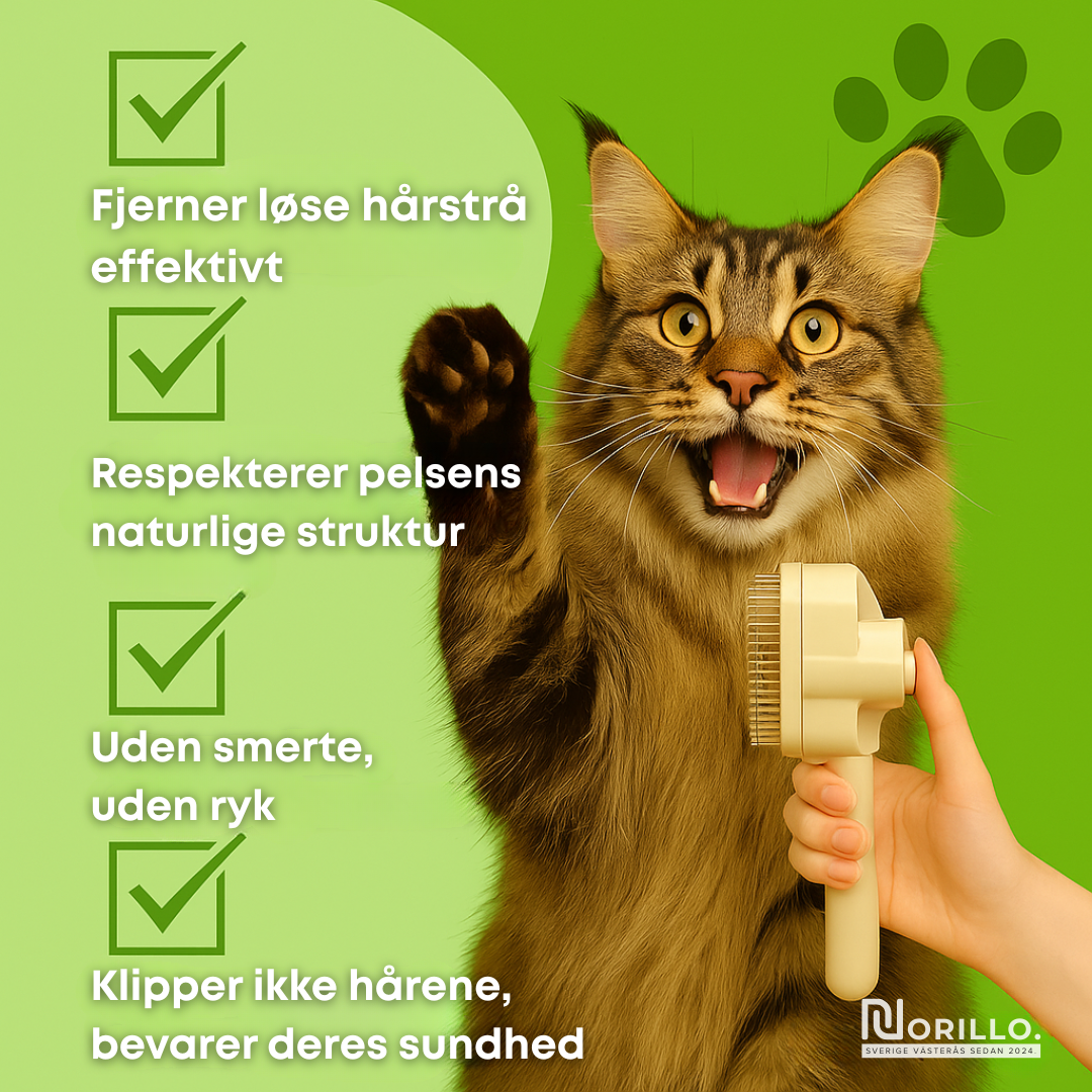 Norillo™ – Kattebørsten der stopper fældning og holder hjemmet rent