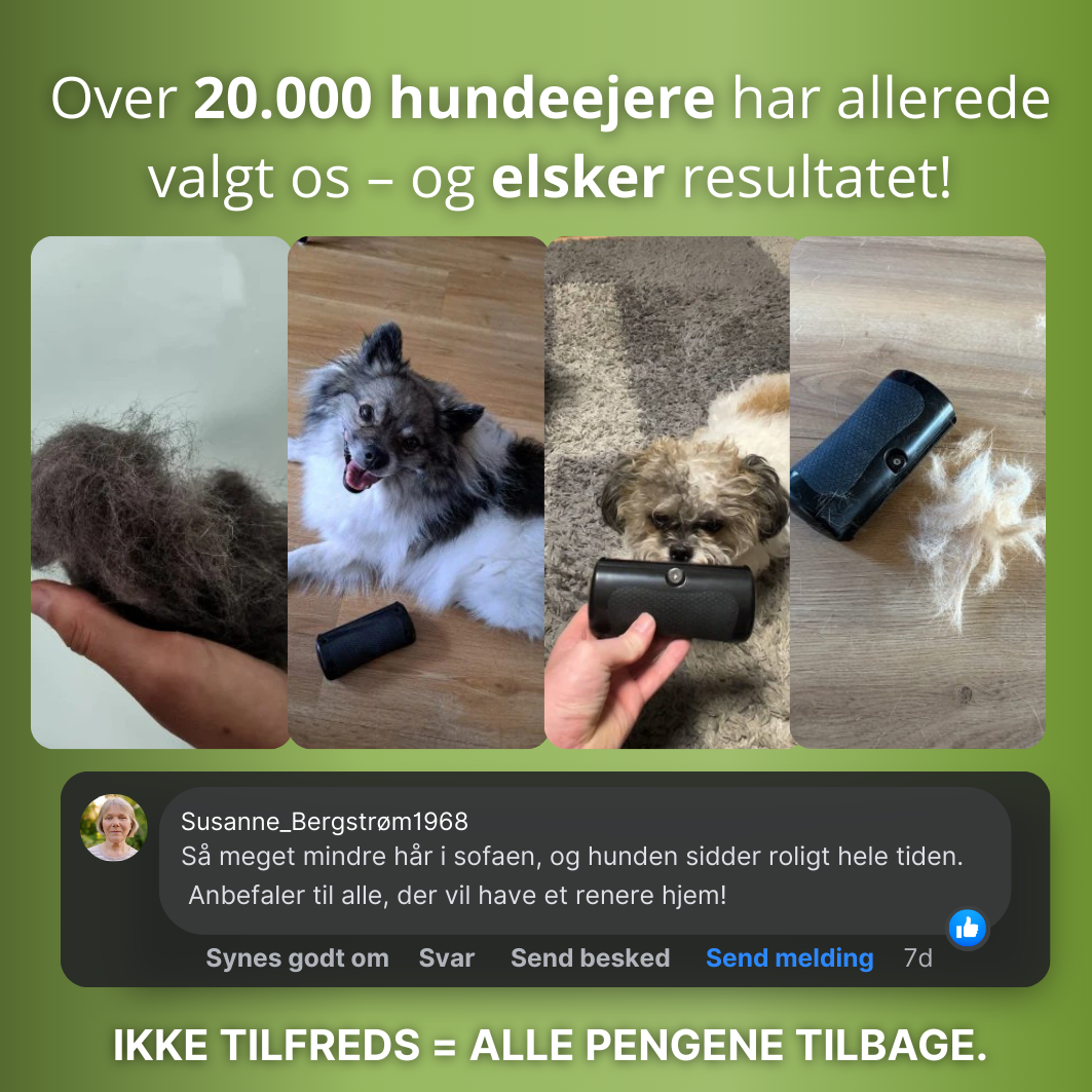 Norillo™ – Hundebørste der stopper fældning og holder hjemmet rent