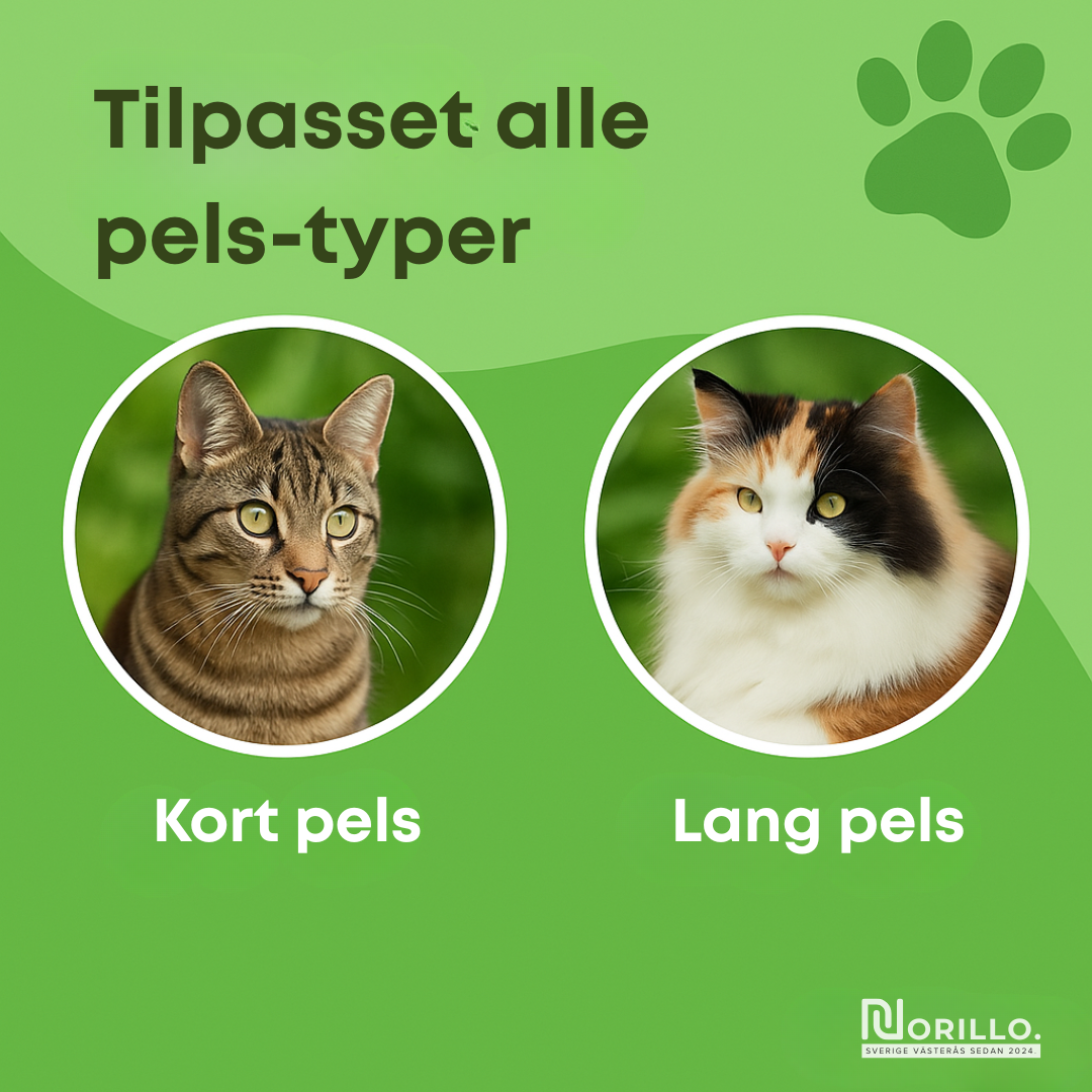 Norillo™ – Kattebørsten der stopper fældning og holder hjemmet rent