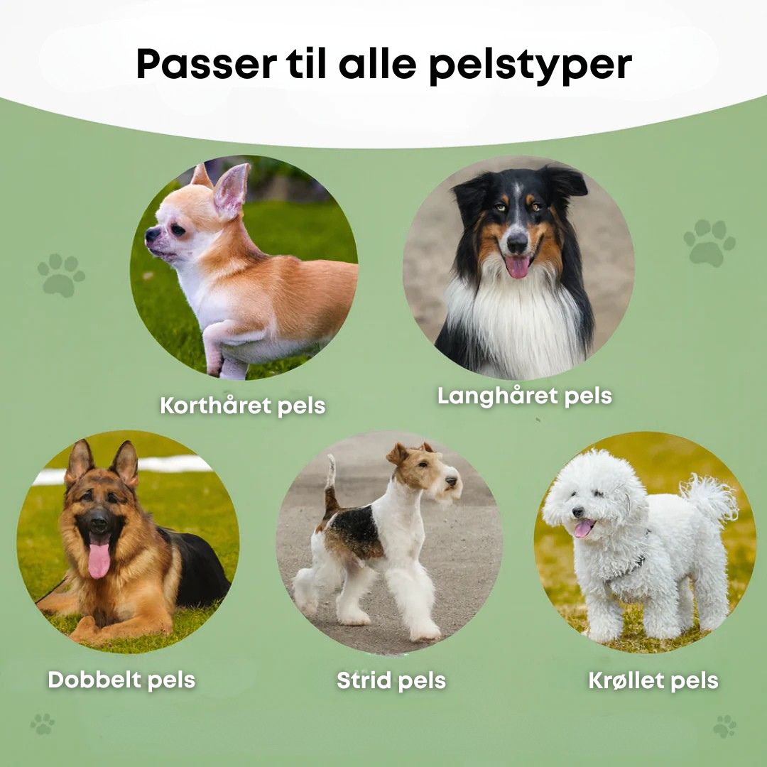 Norillo™ – Hundebørste der stopper fældning og holder hjemmet rent